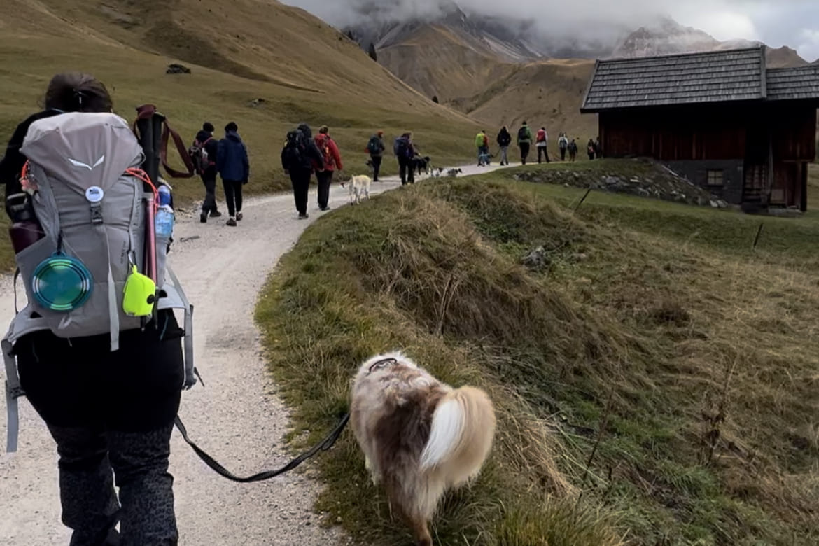 Dog Trekking Di Gruppo Kalipedog 2